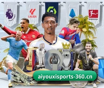 爱游戏体育 APP(Ayx Sports)